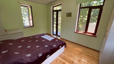 Interior of a bedroom with wooden floor and green walls. Nobody inside