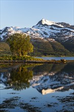 Landscape in Norway. The Balsfjord with a view of the mountain Fugltinden. A small island with a