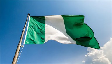 The flag of Nigeria flutters in the wind, isolated against a blue sky