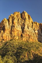 Watchman Mountain, Zion National Park, Colorado Plateau, Utah, USA, Zion National Park, Utah, USA,