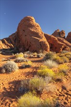 Valley of Fire State Park, Nevada, United States, USA, Valley of Fire, Nevada, USA, North America