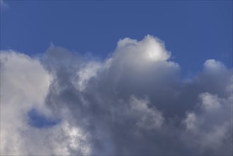 Rain clouds (Nimbostratus), blue sky, Bavaria, Germany, Europe