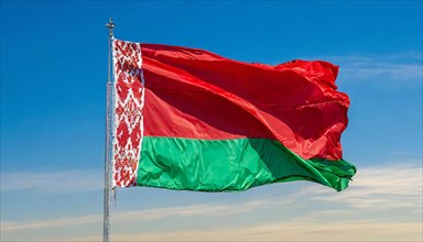 The flag of Belarus flutters in the wind, isolated, against the blue sky