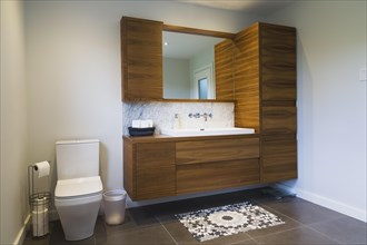 White high-back flush toilet and American walnut wood vanity with white rectangular sink and