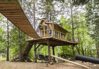 Children's playground and fancy tree house with half log stairs and elevated walkway in residential