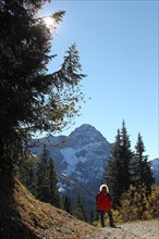 View from the Walmendinger Horn in Kleinwalsertal to the Grosser Widderstein in Vorarlberg,
