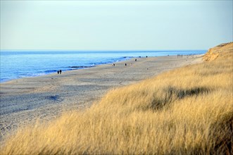Beach 5 km south of Westerland, Sylt, North Frisian Island, Schleswig Holstein, Wide sandy beach