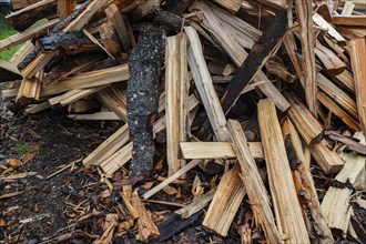 A pile of logs, freshly split firewood