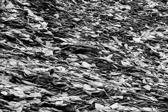 Slate heap, slate rock, black and white, Eastern Eifel, Rhineland-Palatinate, Germany, Europe