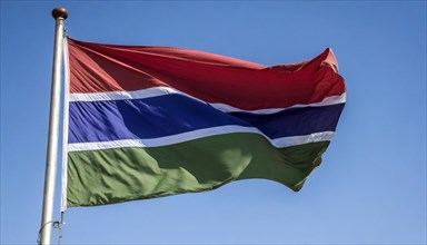 The flag of Gambia, fluttering in the wind, isolated, against the blue sky