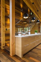 Bamboo wood buffet with white quartz countertop illuminated by black industrial style pendant
