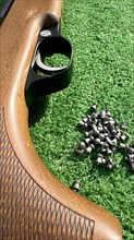 Detail of a shotgun and buckshot on a green background. Illegal hunting is quite common and is