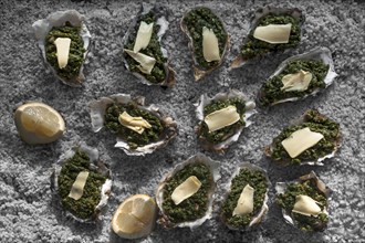 Oysters au gratin with spinach and cheese, recipe a la Rockefeller, decorated with coarse salt,