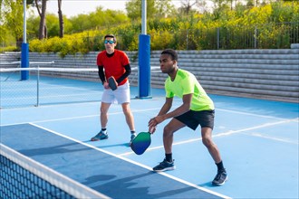 Full length photo of a multiracial team of pickleball players in an outdoor court in a sunny day