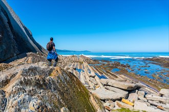 A man next to the marine vegetation in Algorri cove on the coast in the flysch of Zumaia, Gipuzkoa.