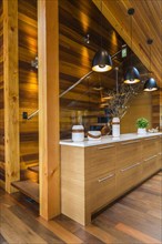 Bamboo wood buffet with white quartz countertop illuminated by black industrial style pendant