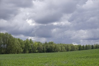 Cloudy sky, weather in April, Germany, Europe