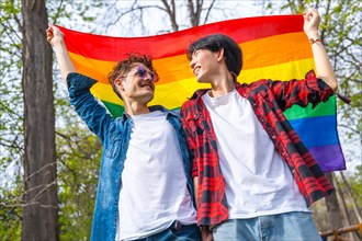Low angle view photo of a gay couple looking at each other smiling and raising lgbt flag in a park