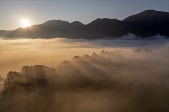 Aerial view, fog in front of mountains, sunrise, backlight, summer, view of Kochler mountains with