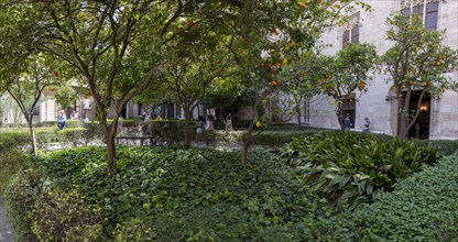 Inner courtyard with orange trees, Lonja de la Seda Palace, Silk Exchange, UNESCO World Heritage