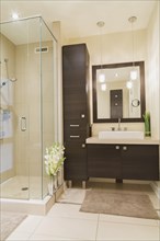 Contemporary brown laminated wood vanity with mirror and clear glass shower stall in bathroom