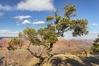 View from Grandview Point, South Rim, Grand Canyon National Park, Arizona, United States, USA,