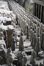 Terracotta army figures, Xian, Shaanxi Province, China, Asia, Rows of terracotta warriors in an