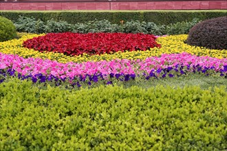 China, Beijing, Forbidden City, UNESCO World Heritage Site, Colourful flowers and green plants in