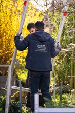 Worker stands on ladder in front of yellow blossoming trees and works, Solar systems construction,