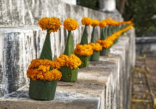 Orange-colored marigold flowers used to pay respect and homage to Buddha, Wat Wisunarat temple,