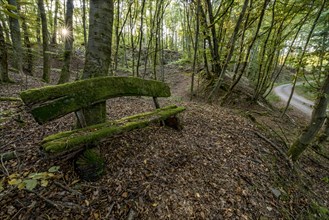 Weathered, rotten and mossy bench made of rough wooden planks, autumn leaves, sun star, forest