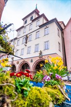 Colourful cityscape with historic building, flowers and a fountain, spring, Calw, town hall, Black