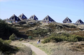 Houses, Hoernum, Sylt, North Frisian Island, A collection of traditional thatched-roof houses in a