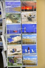 Sylt, North Frisian Island, Schleswig-Holstein, A display with various colourful postcards with