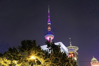 Skyline of Shanghai at night, China, Asia, An illuminated television tower at night behind trees in
