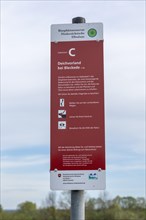 Information sign, information board, Elbtalaue near Bleckede, Lower Saxony, Germany, Europe
