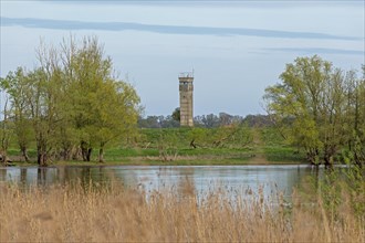 Former watchtower of the GDR, watchtower, trees, reeds, water, Elbe, Elbtalaue near Bleckede, Lower