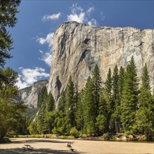 Tourists at the Merced River, El Capitan back, Yosemite National Park, California, United States,