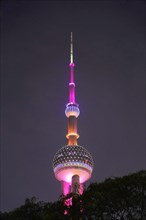 Oriental Pearl Tower, Pudong, Shanghai, China, Asia, Tower illuminated in purple behind treetops at