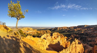 View from Sunset Point, Bryce Canyon National Park, Colorado Plateau, Utah, United States, USA,