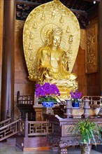 Chongqing, Chongqing Province, China, Asia, Detailed golden Buddha statue in meditative pose in a