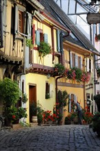 Eguisheim, Alsace, France, Europe, Colourful half-timbered houses and a resident in an old town