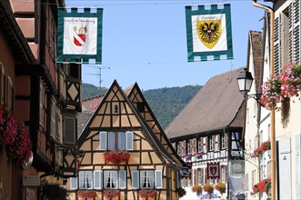 Eguisheim, Alsace, France, Europe, Street scene in Alsace with half-timbered houses and decoration,
