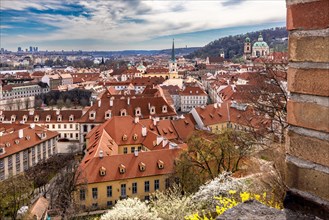 View, Panorama, Old Town, Roofs, Church, Cathedral, Cathedral, Sightseeing, Sightseeing, St Vitus