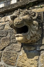 Lion's head, architectural details of Pillnitz Castle on the edge of the Elbe cycle path in