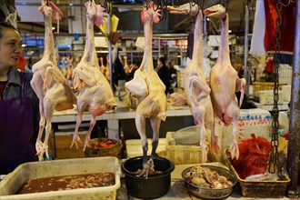 Chongqing, Chongqing Province, China, Raw ducks hanging on a market stall over a bucket of liquid,