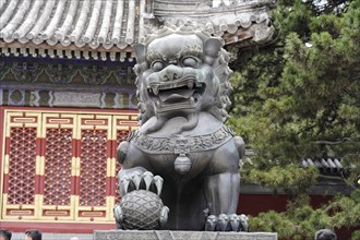 New Summer Palace, Beijing, China, Asia, Sculpture of a stone lion in front of the entrance of a