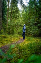 A person walks alone on a green forest path and enjoys the silence of the forest, Calw, Black