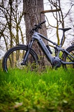 An electric bicycle stands in front of a thick tree in the forest, underlined by nature, spring, E-