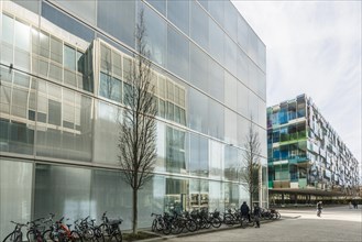 Modern architecture, office building, architects Diener & Diener Wiederin Federle, Novartis Campus,